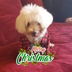 Meet your Posher, Sean